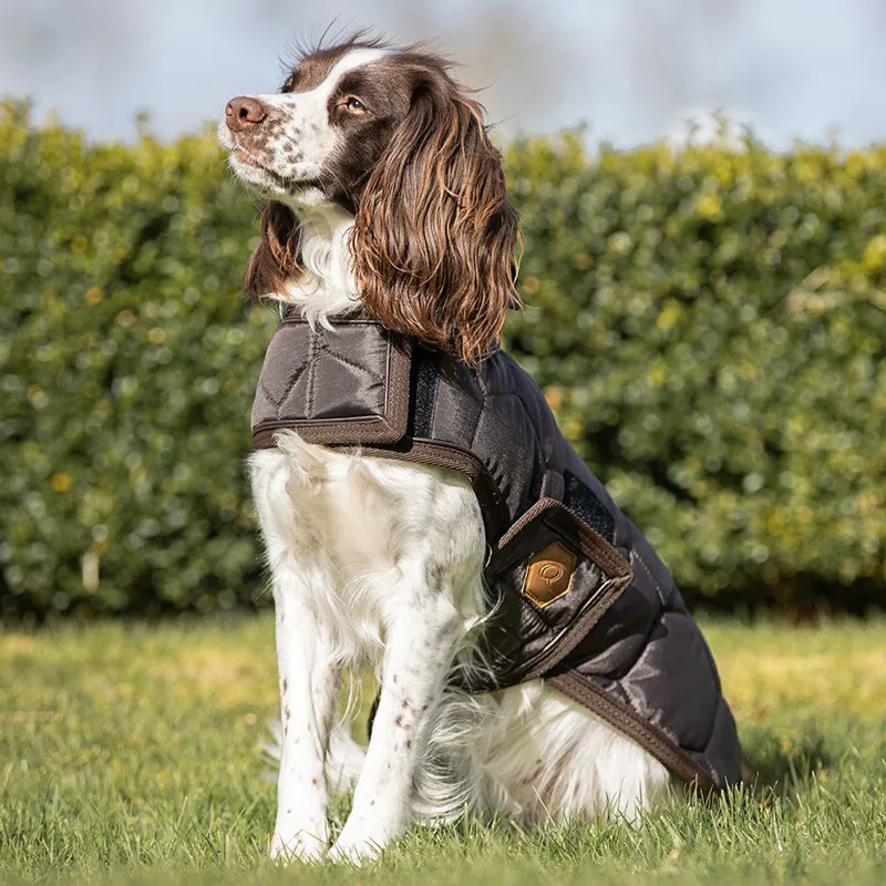 Dark Brown Classy Dog Coat for High-Quality Pets