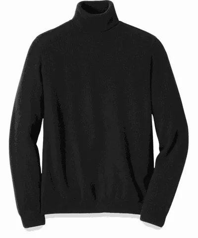 Paul Fredrick Cashmere Turtleneck Sweater